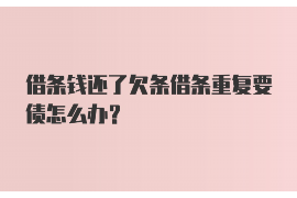 聂拉木为什么选择专业追讨公司来处理您的债务纠纷？